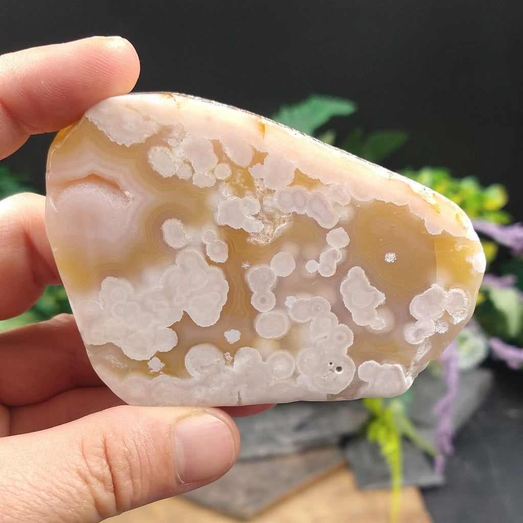 AG-356 Agate