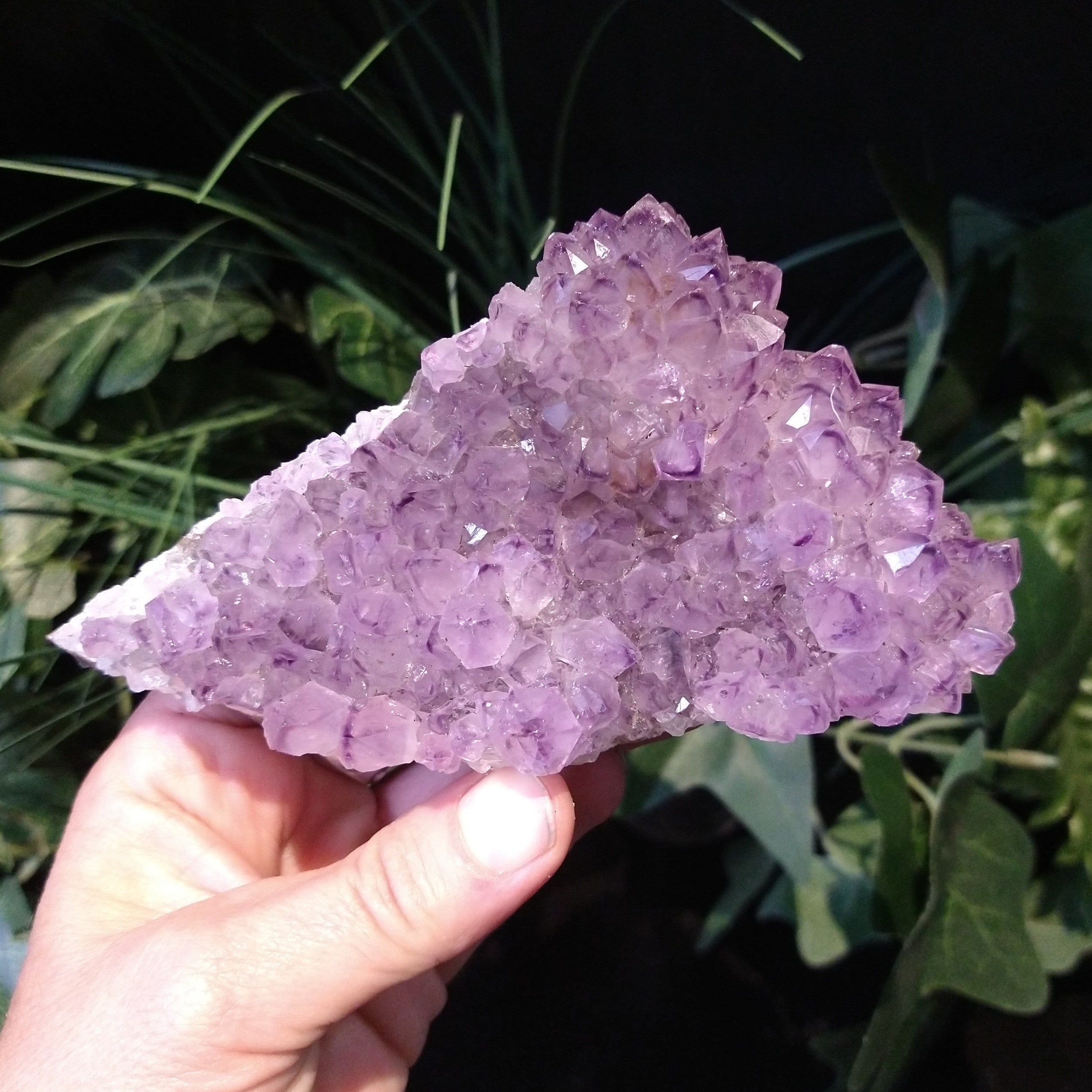 AM-5606 Amethyst Cluster