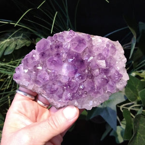 AM-5607 Amethyst Cluster