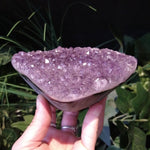 AM-5608 Amethyst Cluster