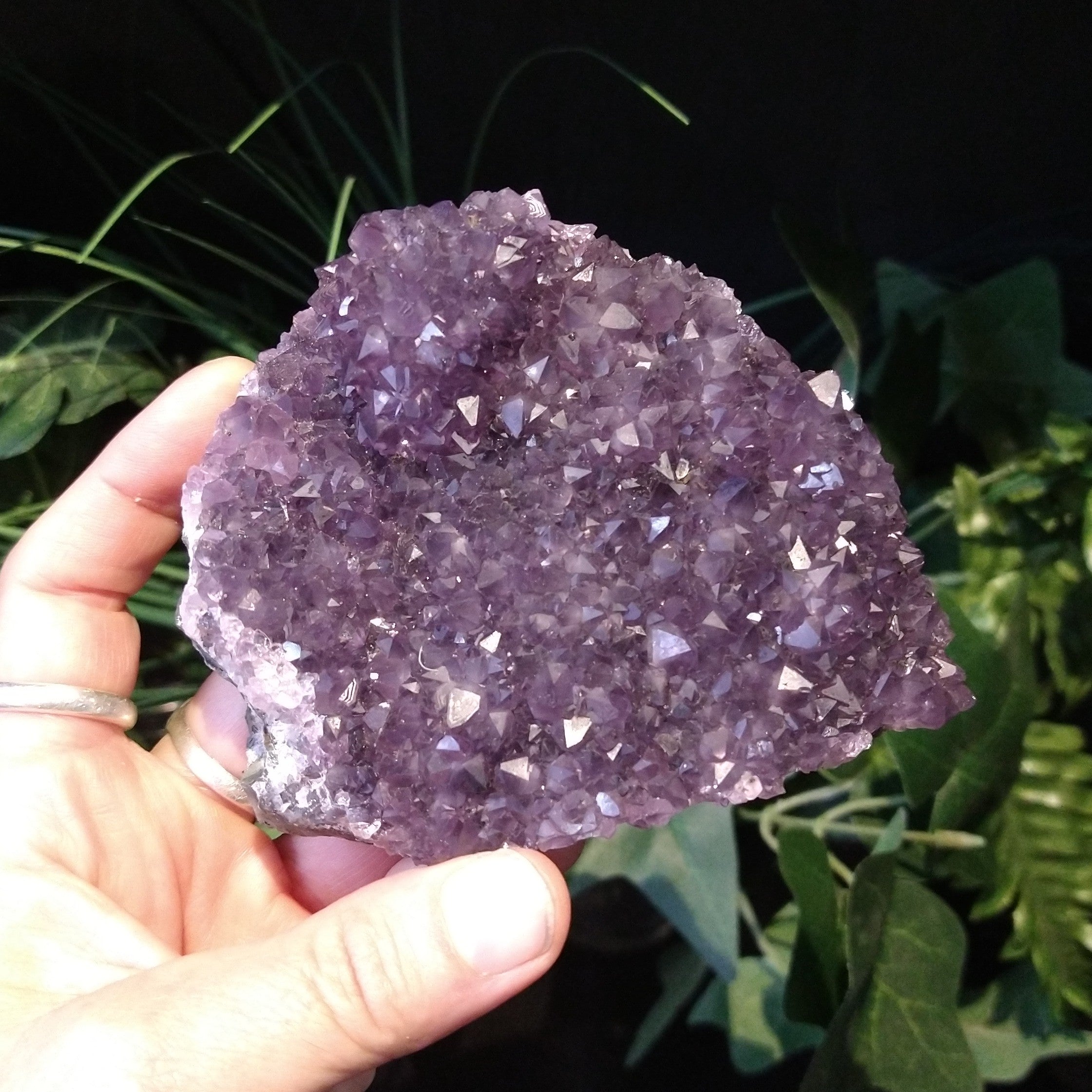 AM-5609 Amethyst Cluster