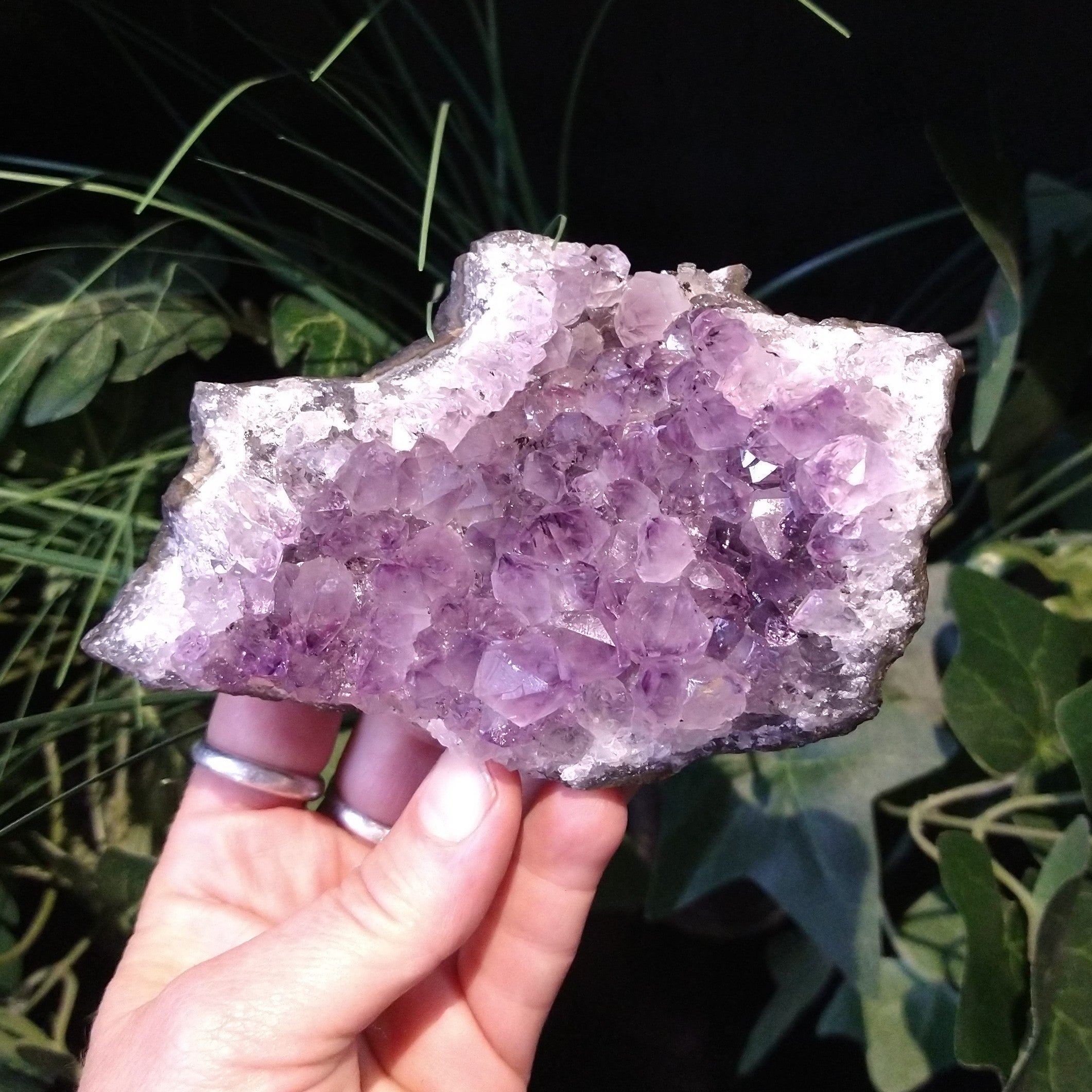 AM-5610 Amethyst Cluster