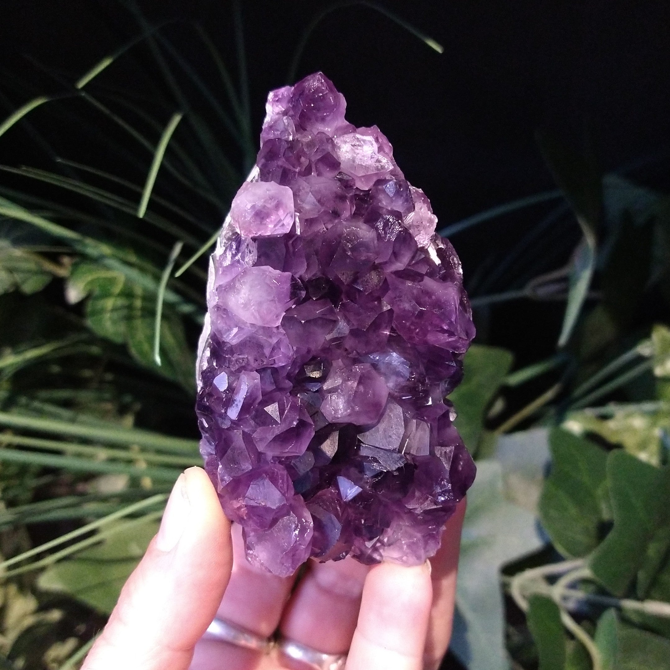 AM-5613 Amethyst Druze