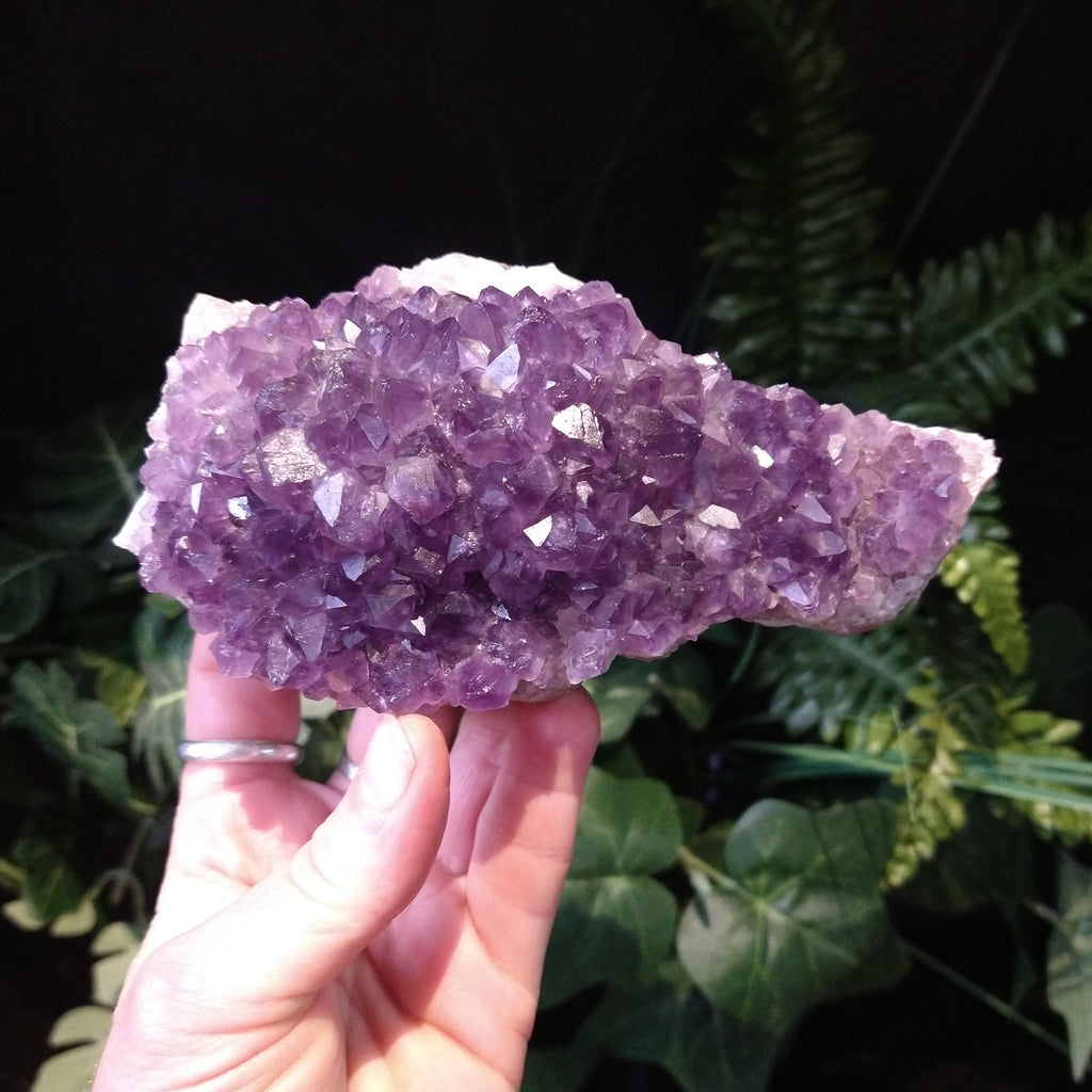 AM-5622 Amethyst Cluster