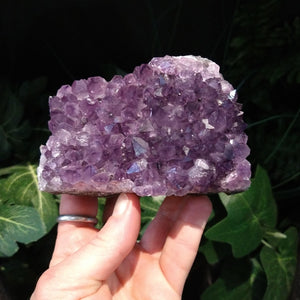 AM-5624 Amethyst Cluster