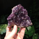 AM-5625 Amethyst Cluster