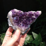 AM-5626 Amethyst Cluster