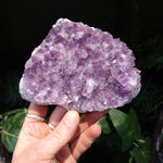 AM-5627 Amethyst Cluster