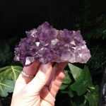 AM-5628 Amethyst Cluster