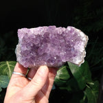 AM-5629 Amethyst Cluster