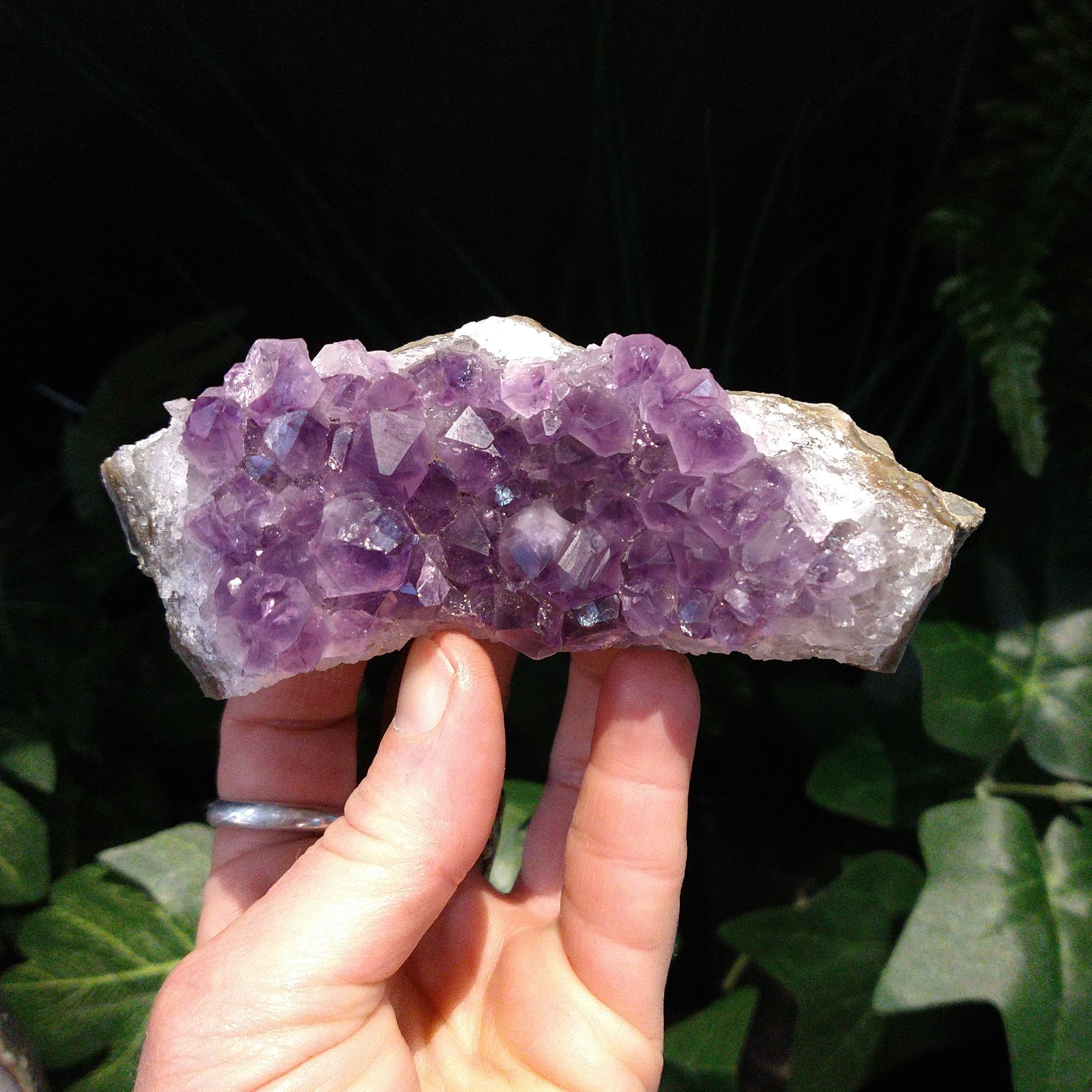 AM-5644 Amethyst Cluster