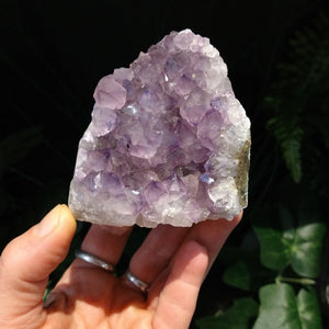 AM-5645 Amethyst Cluster