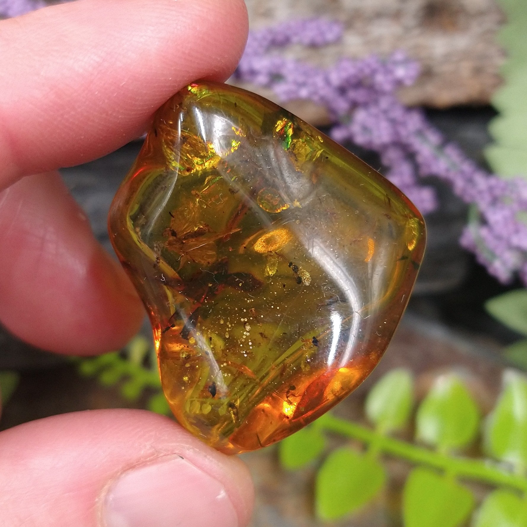 AMB-463 Chiapas Amber with Insects