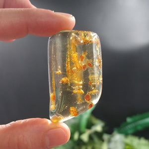 AMB-470 Colombian Amber with insects
