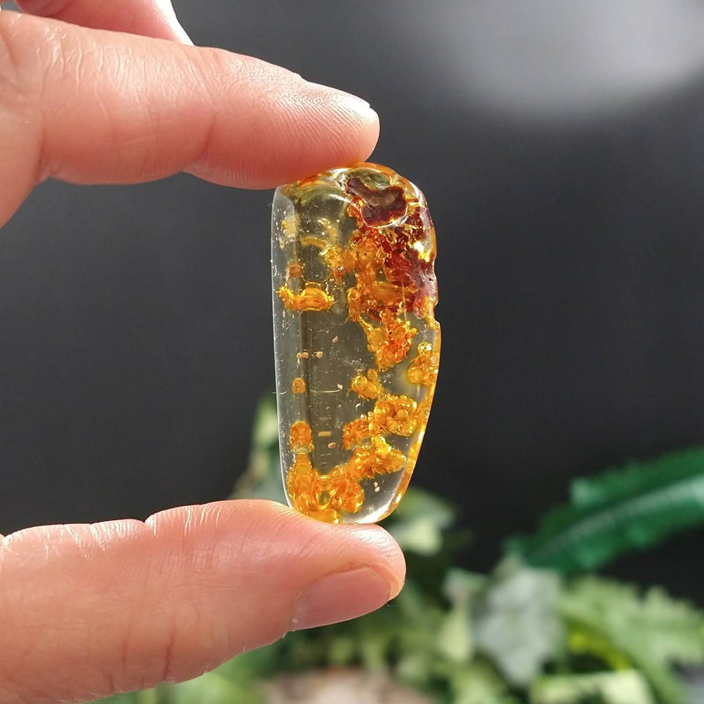 AMB-475 Colombian Amber with insects