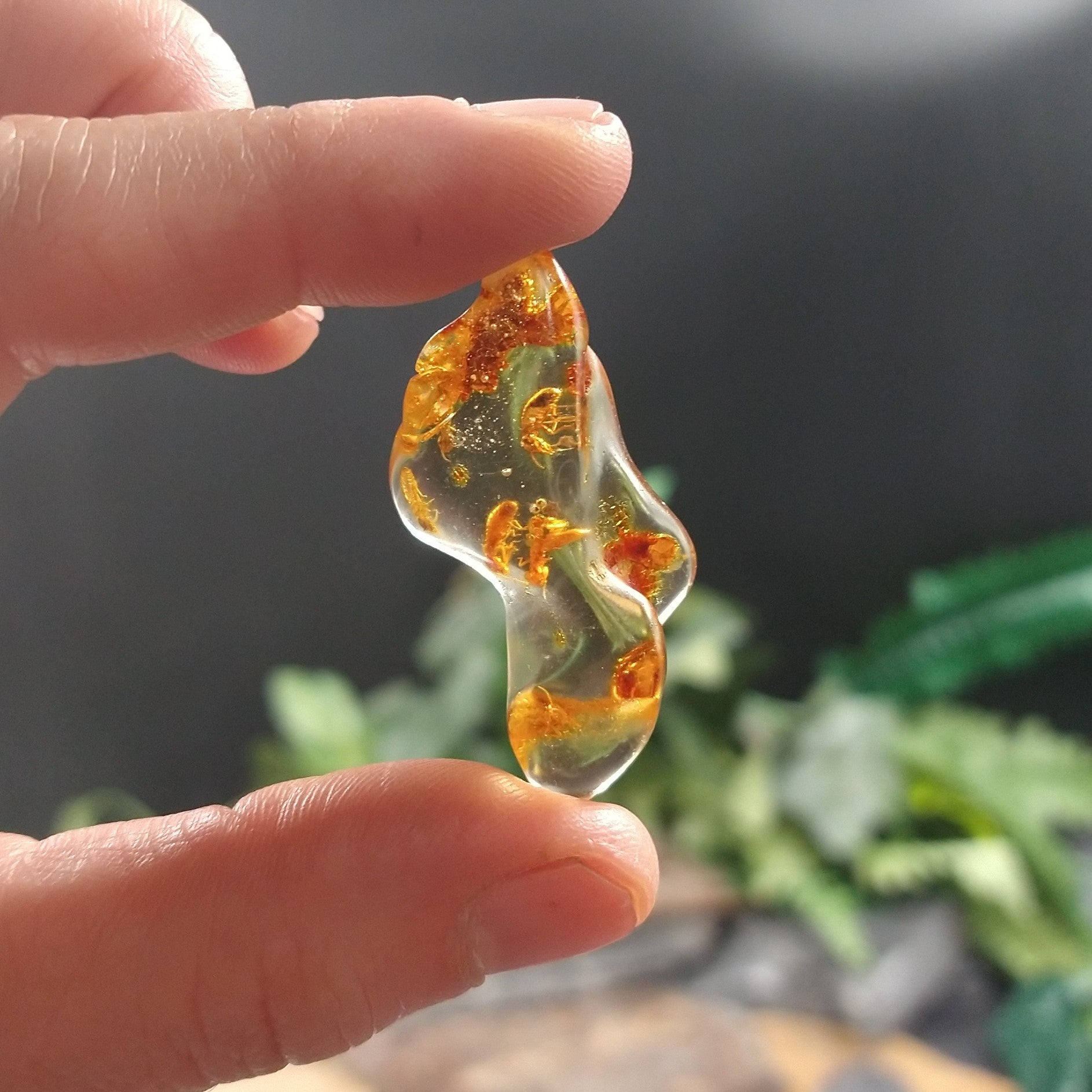 AMB-481 Colombian Amber with insects