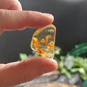 AMB-482 Colombian Amber with insects
