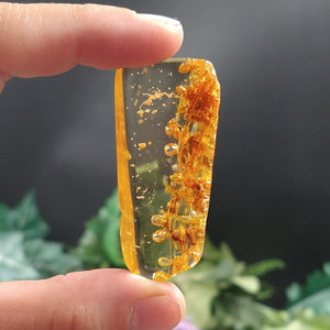 AMB-484 Colombian Amber with insects