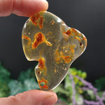 AMB-500 Colombian Amber with insects