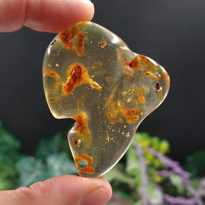 AMB-500 Colombian Amber with insects