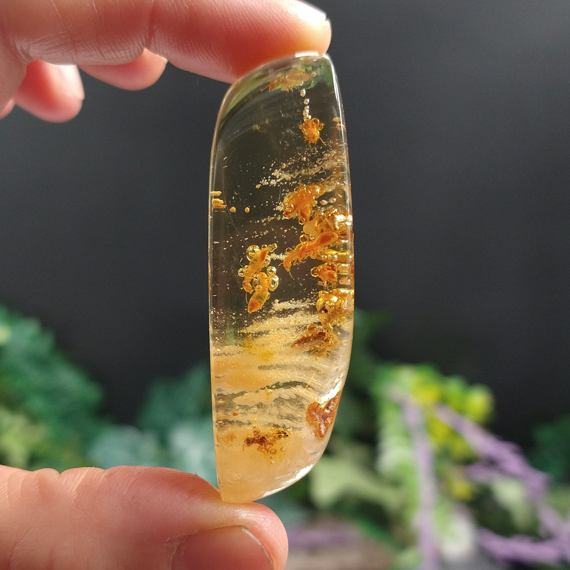 AMB-501 Colombian Amber with insects