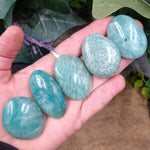 AMZ-94 Small Amazonite Palm Stone