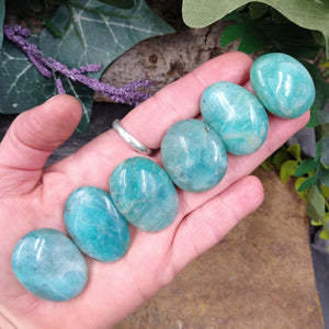 AMZ-95 Mini Amazonite Palm Stone