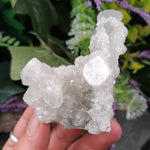 AP-567 Apohyllite Specimen