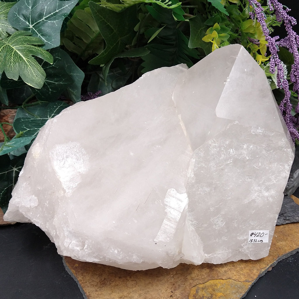 BB-15 Large Quartz specimen