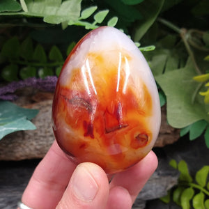 BB-60 Carnelian Egg