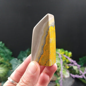 BJ-1 Bumblebee Jasper