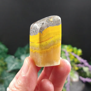 BJ-9 Bumblebee Jasper