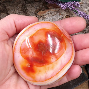 CAR-73 Carnelian Palm Stone