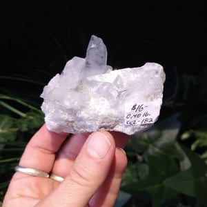 CEL-182 Celestite Specimen