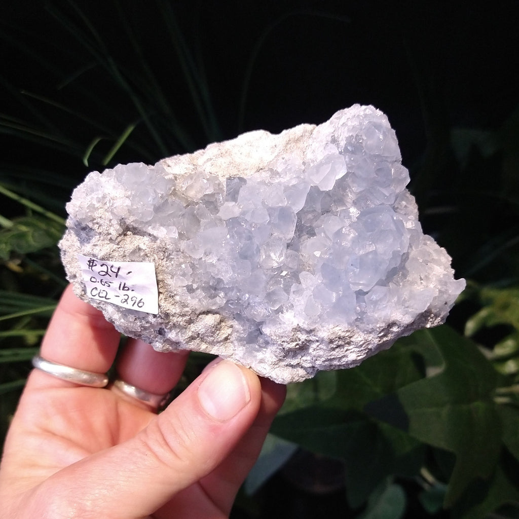 CEL-296 Celestite Specimen