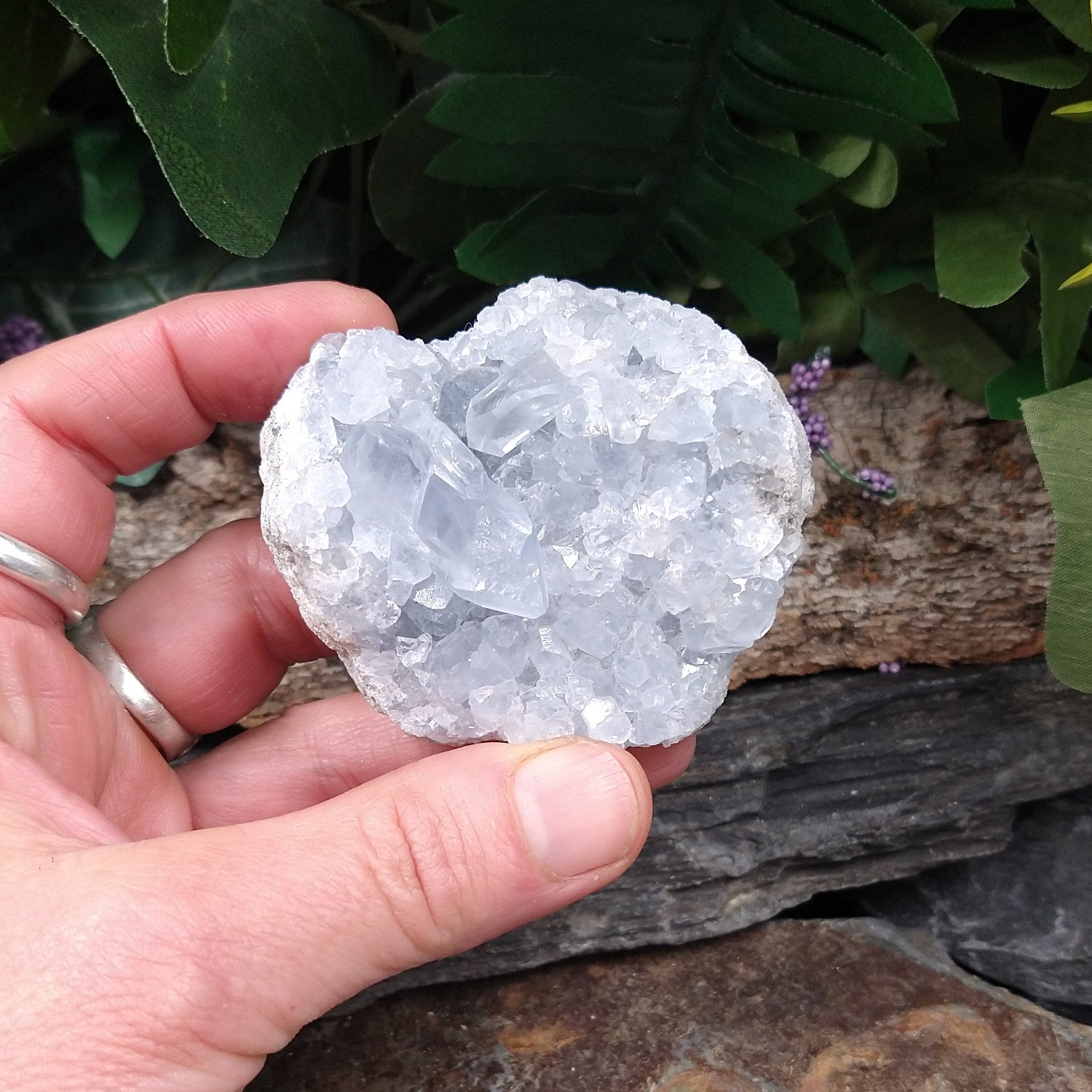 CEL-455 Celestite Specimen