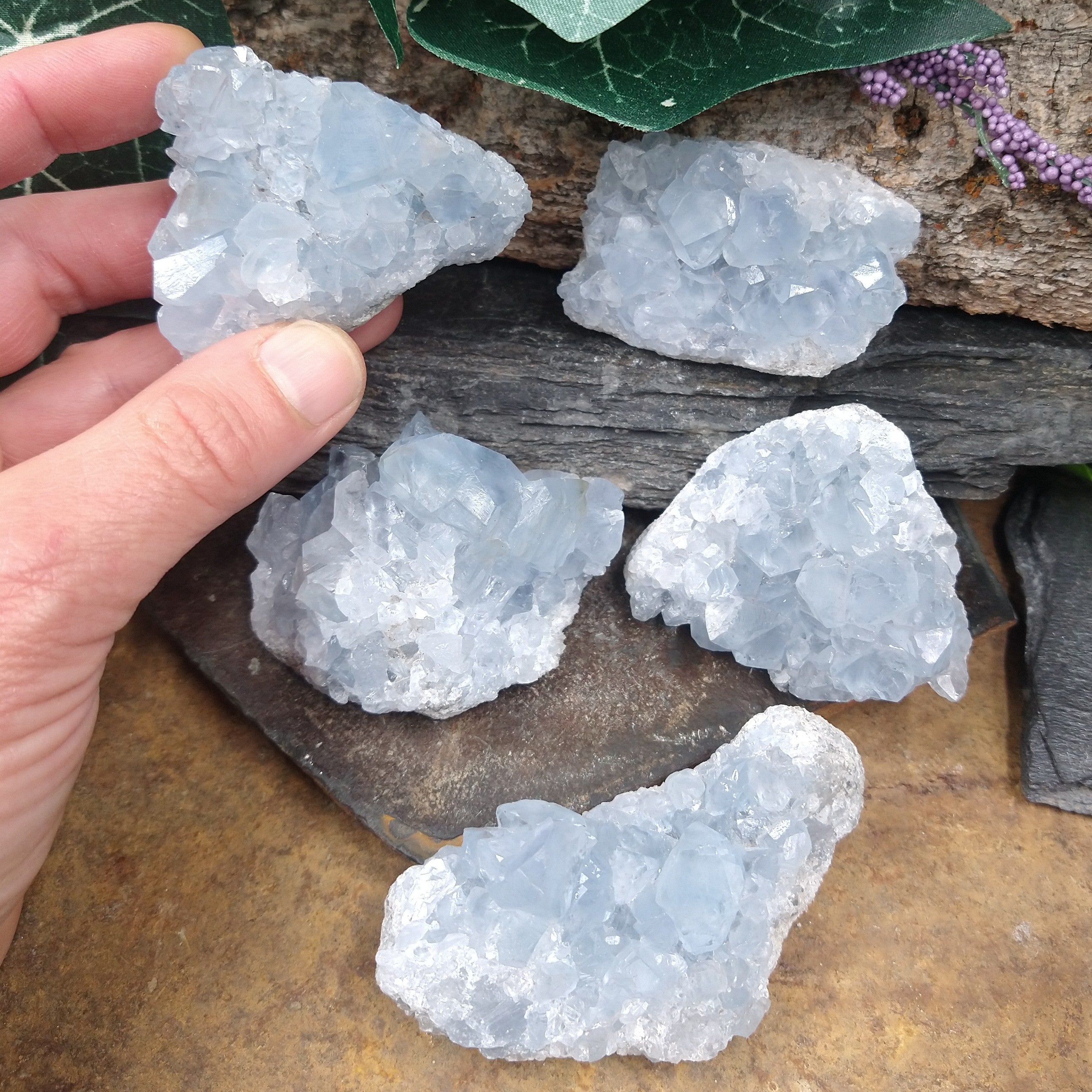 CEL-470C Celestite specimen