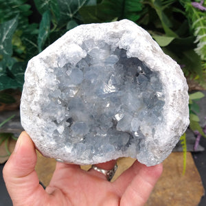 CEL-471 Celestite Specimen