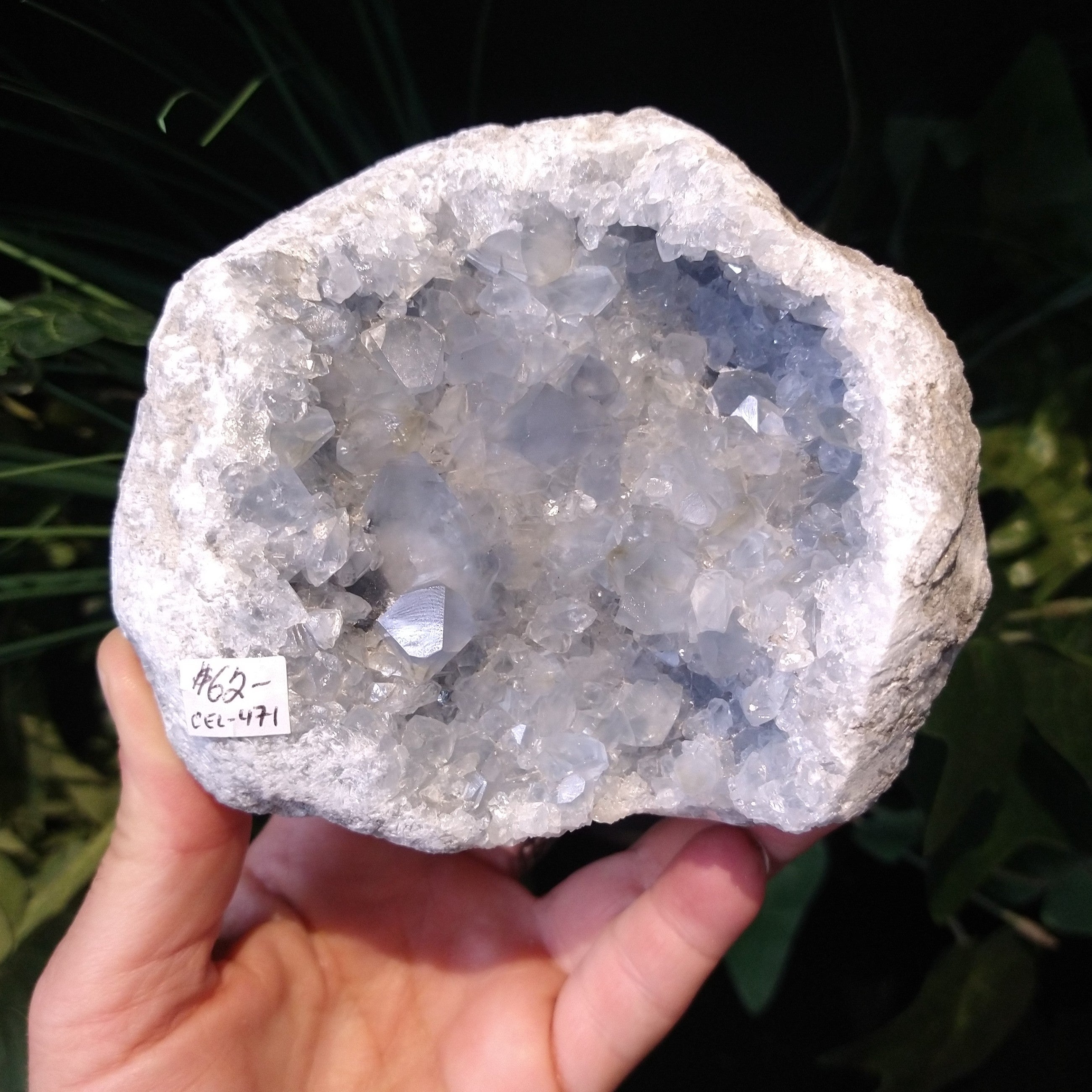 CEL-471 Celestite Specimen