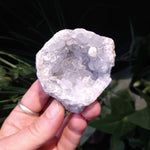 CEL-475 Celestite Specimen