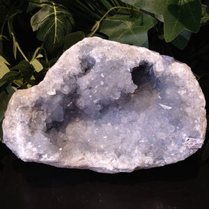 CEL-5001 Large Celestite Specimen