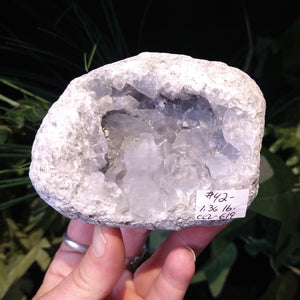 CEL-619 Celestite Specimen