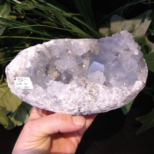 CEL-801 Celestite Specimen