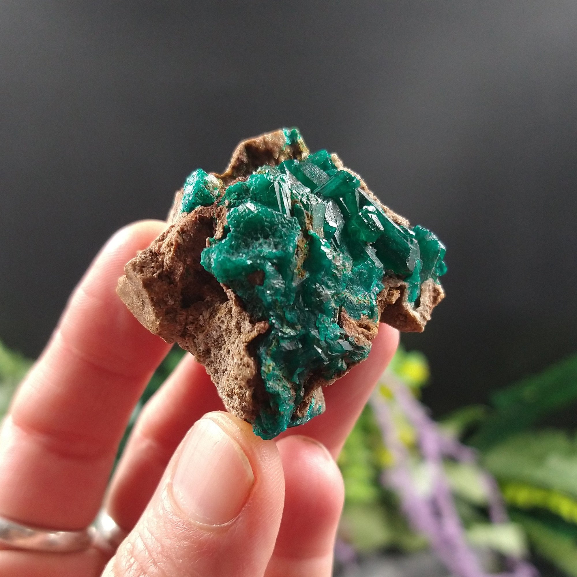 DIO-78 Dioptase specimen