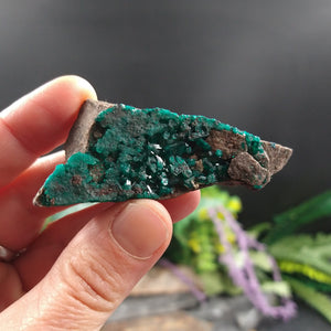 DIO-79 Dioptase specimen