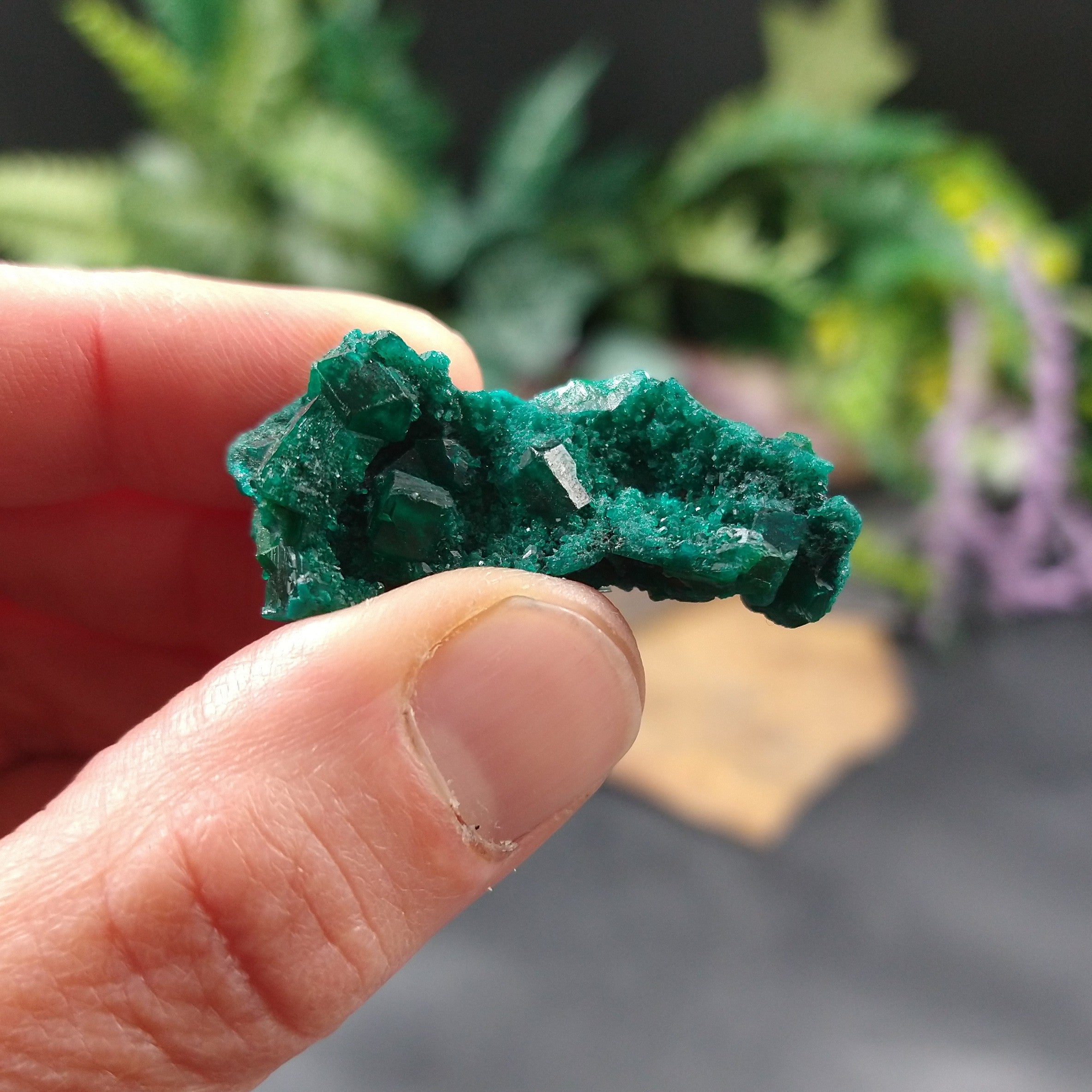 DIO-82 Dioptase specimen