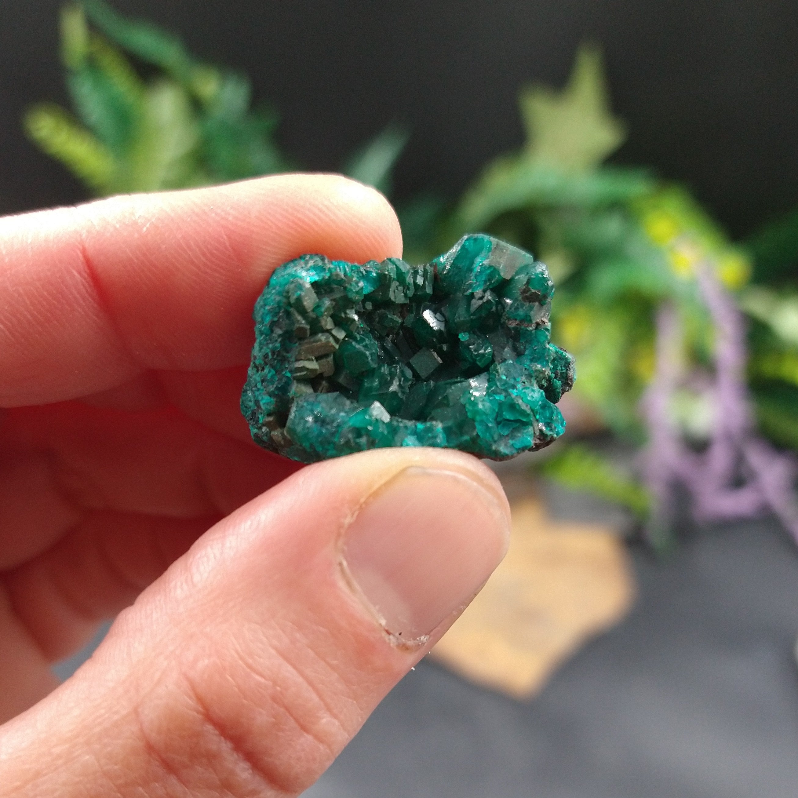 DIO-83 Dioptase specimen