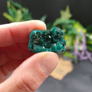 DIO-83 Dioptase specimen