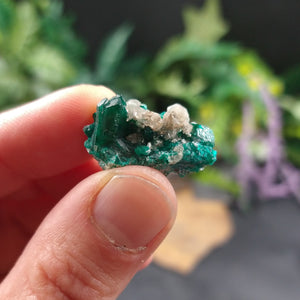 DIO-85 Dioptase specimen