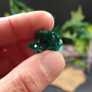 DIO-87 Dioptase specimen